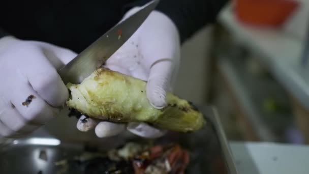 Chef Luva Branca Descasca Zuccini Assado Fechar Câmera Lenta — Vídeo de Stock
