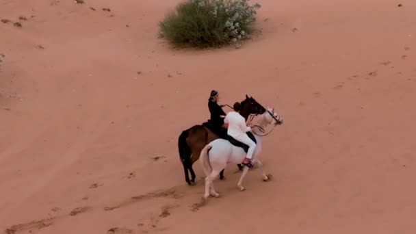 Bir Dron Yeşil Çalıların Arasında Çöl Kumunda Uçan Iki Atlının — Stok video