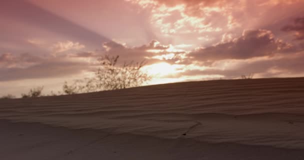 Gros Plan Une Dune Sable Avec Herbe Contre Ciel Nuageux — Video