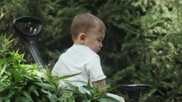 Tişörtlü Şortlu Küçük Bir Çocuk Oyuncak Arabasıyla Çiçek Bahçesinde Oynuyor — Stok video