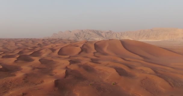 Dron Vuela Sobre Los Barriles Arenosos Del Desierto Los Emiratos — Vídeos de Stock
