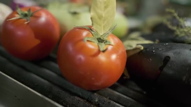 Tomate Calabacín Berenjena Cebolla Otras Verduras Asan Parrilla Cámara Lenta — Vídeo de stock