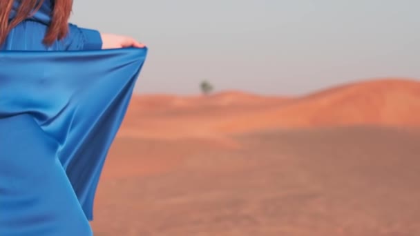 Una Joven Con Pelo Suelto Viento Con Largo Vestido Azul — Vídeos de Stock
