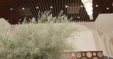 Pahalı bir otelin devasa lobisi. Yavaş Hareket.
