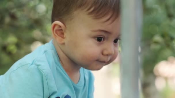 Mały Chłopiec Ramionach Matki Próbuje Zbierać Zielone Jabłka Gałęzi Drzewa — Wideo stockowe