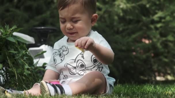 小さな男の子が公園の草の上に座り プラスチック製のボールで遊んでいます スローモーション — ストック動画