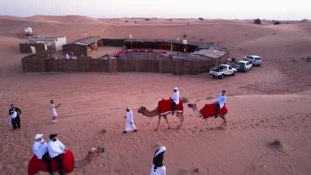 Dubai Förenade Arabemiraten 2023 Drönare Flyger Över Turister Ridande Kamel — Stockvideo