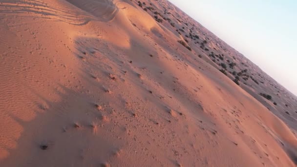 Nsansız Hava Aracı Çölün Kum Tepelerinin Üzerinden Uçuyor Hava Görünümü — Stok video