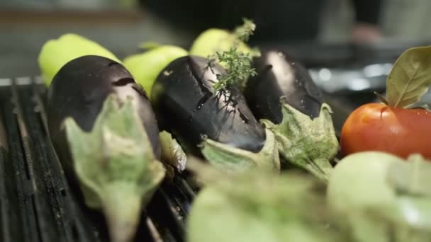 Помидоры Цуккини Баклажаны Лук Другие Овощи Гриле Slow Motion Close — стоковое видео