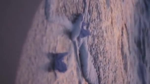 서핑의 파도에 종이의 시트는 일몰에 해변에 촬영됩니다 슬로우 — 비디오
