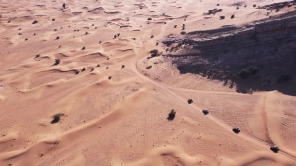항공기는 모래를 벌레의 캐러밴을 — 비디오