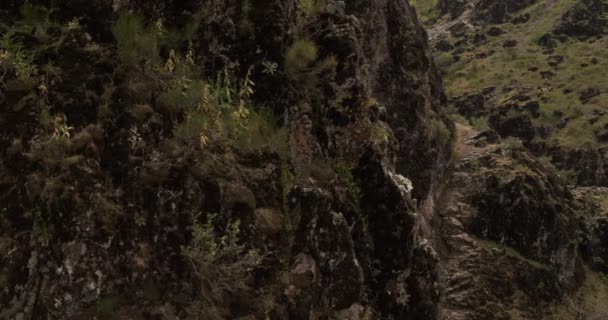 Eine Drohne Umfliegt Eine Junge Bergsteigerin Die Eine Steile Klippe — Stockvideo