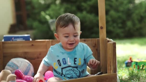 소년과 어머니는 잔디에 조류에 다채로운 가지고 놀고있다 화창한 슬로우 클로즈업 — 비디오