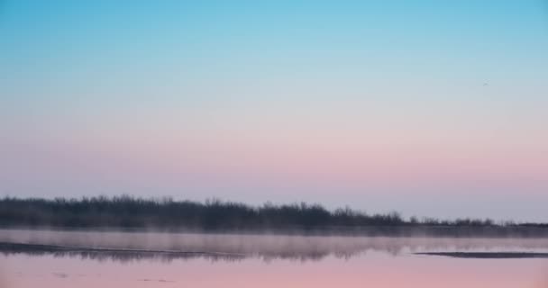 Πρωινή Ομίχλη Πάνω Από Μια Λίμνη Που Περιβάλλεται Από Γρασίδι — Αρχείο Βίντεο