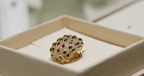 Mücevherler Dükkanda Yüzükler Kolyeler Bilezikler Yavaş Hareketi Kapat — Stok video