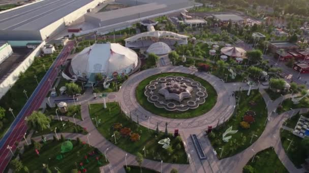 Drone Flies Amusement Park Carousels Ferris Wheel Aerial View — Stock Video