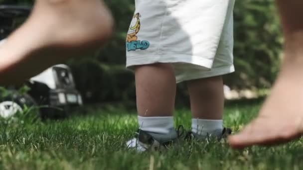 Zbliżenie Stóp Małego Chłopca Szortach Sandałach Spacerującego Trawie Słoneczny Dzień — Wideo stockowe