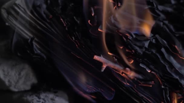 Ein Offenes Buch Das Einem Feuer Trockener Tierärzte Der Nacht — Stockvideo