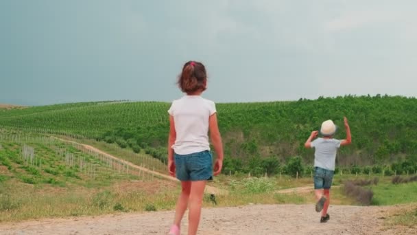 两个孩子 男孩和女孩 在乡间路上 从后面拍摄 男孩在逃跑 女孩在慢慢地走 — 图库视频影像