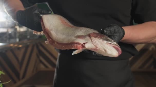 手袋のシェフは ハーブや野菜のテーブルの上にトレイの上に魚を投げる スローモーション クローズアップ — ストック動画