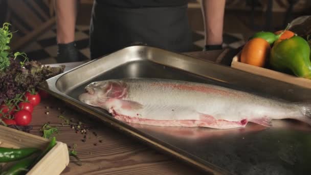 Chef Luvas Mostrando Peixes Deitados Bandeja Metal Movimento Lento Fechar — Vídeo de Stock
