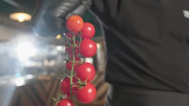 Şef, eldivenli eliyle bir demet kiraz domatesi çekiyor ve onları sebze ve otlarla masaya fırlatıyor. Kapat, Yavaş Hareket.