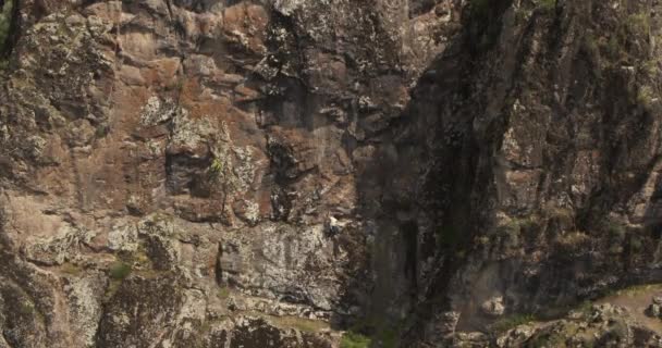 Drone Voa Sobre Jovem Atlético Alpinista Escalando Penhasco Vista Aérea — Vídeo de Stock