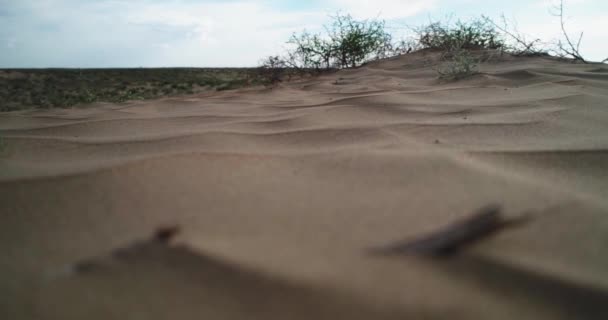 항공기는 사막의 표면에서 — 비디오