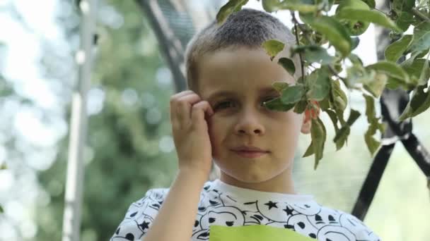 花园里的一个少年从树枝上摘青苹果 慢动作 — 图库视频影像