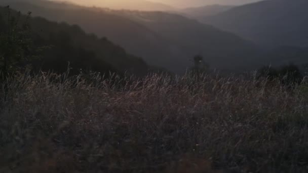 Herfst Berggras Stralen Van Ondergaande Zon Langzame Beweging — Stockvideo
