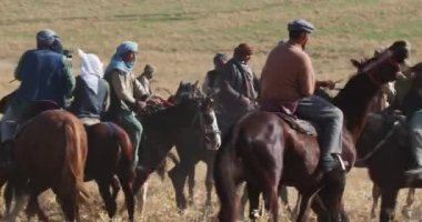 Bir grup atlı, tepelerdeki sarı sonbahar otlarının arasında dörtnala koşuyor. Orta Asya, Yavaş Hareket, Yakın Çekim.