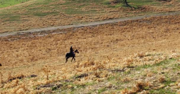 Group Riders Horseback Gallops Yellow Autumn Grass Hills Central Asia — Stock Video