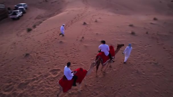 Dubai Vae 2023 Een Drone Die Toeristen Vliegt Een Kameel — Stockvideo