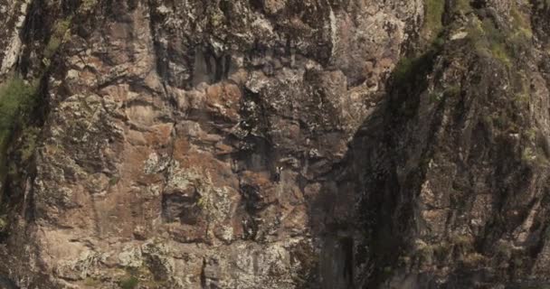 Drone Flies Young Athletic Female Climber Climbing Sheer Cliff Aerial — Stock Video