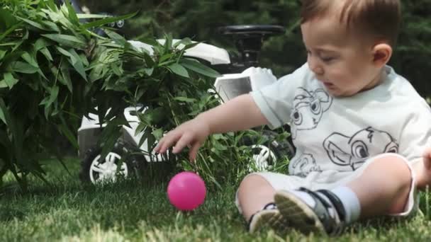 小さな男の子が公園の草の上に座り プラスチック製のボールで遊んでいる スローモーション — ストック動画