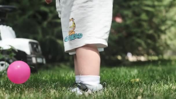 Крупним Планом Ноги Маленького Хлопчика Шортах Сандалі Ходять Траві Сонячний — стокове відео