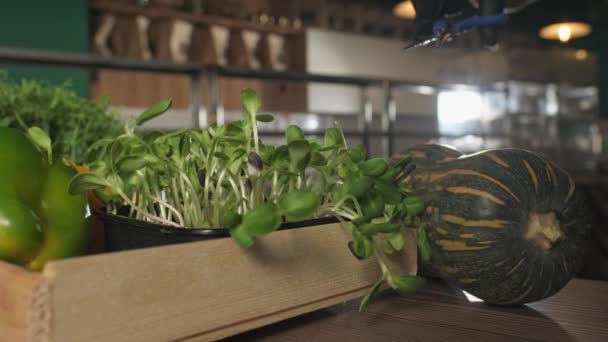 Séf Ollóval Paradicsommal Zöldségekkel Körülvéve Vágja Fel Asztalon Termesztett Zöldségeket — Stock videók