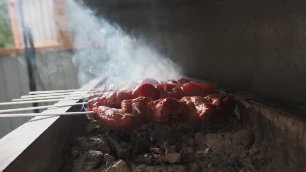 Kuřecí Masové Jaterní Kebaby Smaží Otevřeném Grilu Dřevěným Uhlím Pomalý — Stock video