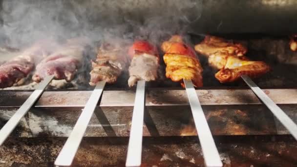 Frango Carne Fígado Kebabs São Fritos Uma Grelha Aberta Com — Vídeo de Stock