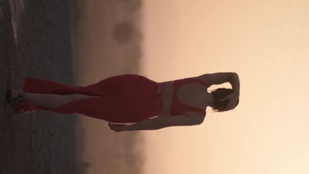 Retrato Vertical Una Joven Con Vestido Espaldas Cámara Desierto Contra — Vídeos de Stock