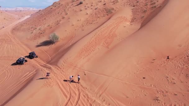Drone Vista Persone Che Cavalcano Una Tavola Sulle Dune Sabbia — Video Stock