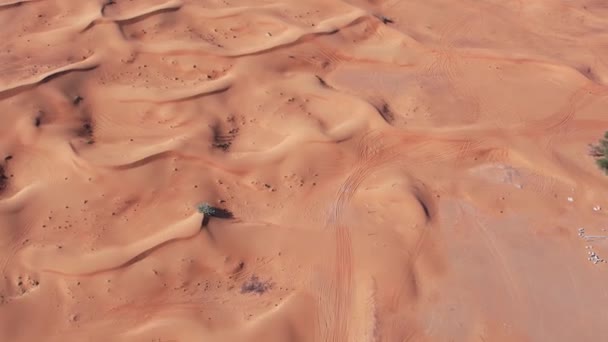 ドローンは砂漠の砂丘の上を飛んでいる エアリアルビュー — ストック動画