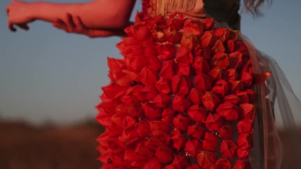 秋の花の衣装で美しい若い女性のトーソのクローズアップと山の日没の背景に葉 スローモーション — ストック動画