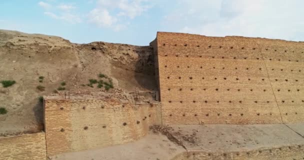 Цегляні Стіни Стародавнього Ковчег Фортечного Комплексу Оточенні Старих Будинків Бухари — стокове відео