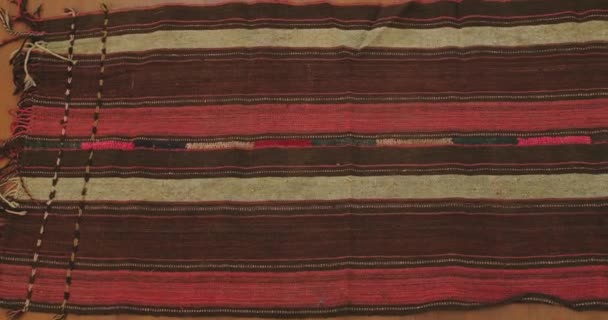 Close Ornament Patterns Samarkand Carpets Uzbekistan Made According Classical Technology — Stock Video