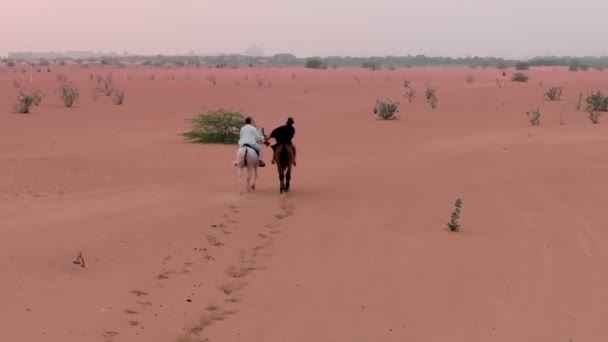一架无人驾驶飞机在沙漠沙地上的绿色灌木丛中飞越了两名骑手 慢动作 — 图库视频影像
