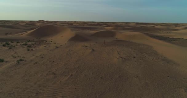 Drone Survole Les Dunes Sable Désert Vue Aérienne — Video