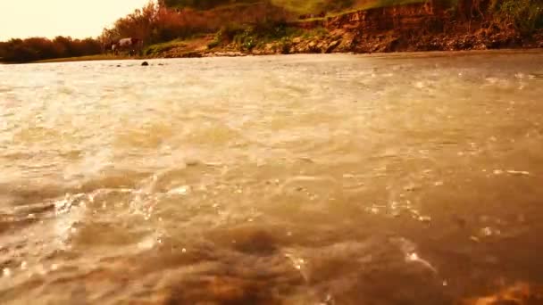 沿着马群走过的青山 川流不息地涌动着泥泞的河水 — 图库视频影像