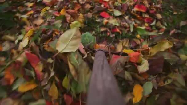 Hark Verzamelt Gele Rode Herfstbladeren Grond Bewolkte Herfstdag Close — Stockvideo