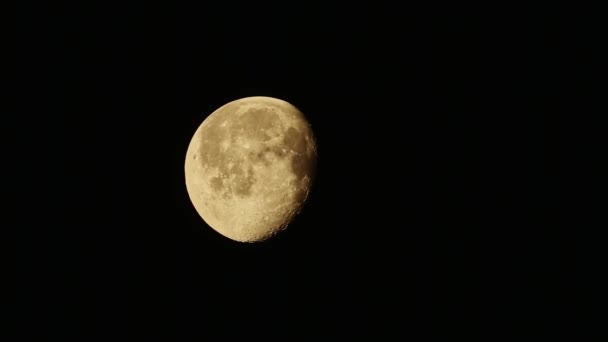 Prawie Pełnia Księżyca Nocnym Niebie Przejrzysta Bezchmurna Noc — Wideo stockowe